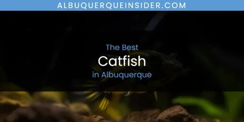 Best Catfish in Albuquerque: Complete Guide