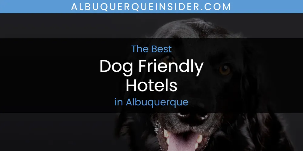 The Absolute Best Dog Friendly Hotels in Albuquerque  [Updated 2025]