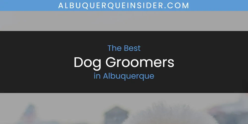 Best Dog Groomers in Albuquerque: Our Expert Picks for 2026