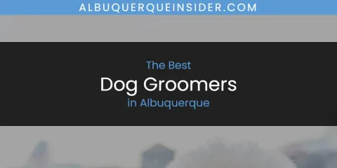 Best Dog Groomers in Albuquerque: Our Expert Picks
