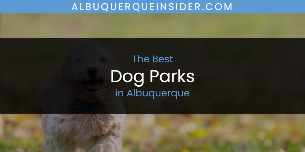The Absolute Best Dog Parks in Albuquerque  [Updated 2025]