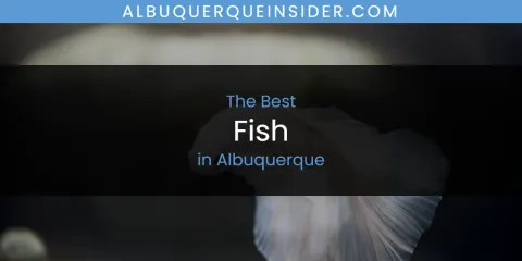 The Absolute Best Fish in Albuquerque