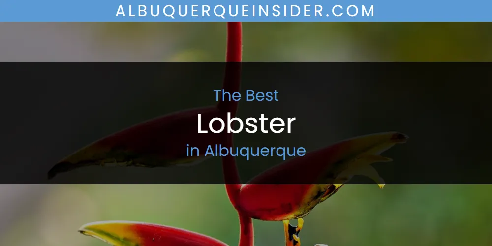 Discover the Best Lobster in Albuquerque (2026)