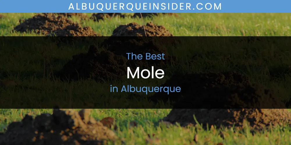 The Absolute Best Mole in Albuquerque featured