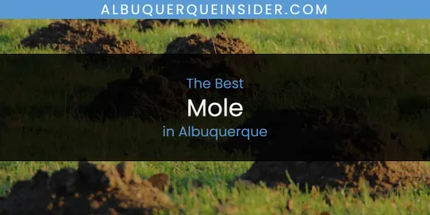 The Absolute Best Mole in Albuquerque