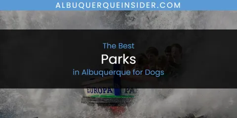 The Absolute Best Parks in Albuquerque for Dogs