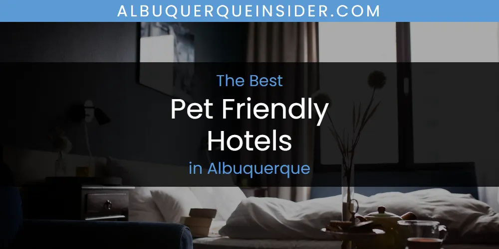 Discover the Best Pet Friendly Hotels in Albuquerque (2026)