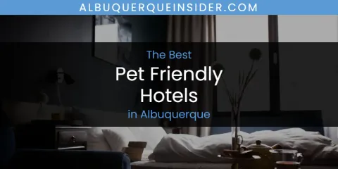 Discover the Best Pet Friendly Hotels in Albuquerque