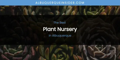 The Absolute Best Plant Nursery in Albuquerque