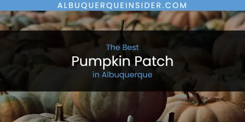 The Best Pumpkin Patch in Albuquerque List