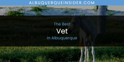 The Top-Rated Vet in Albuquerque