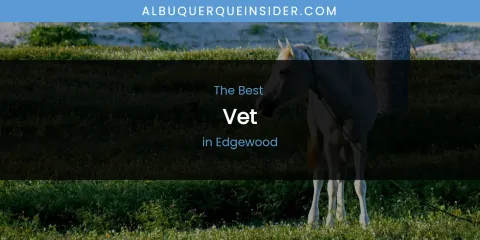 The Absolute Best Vet in Edgewood