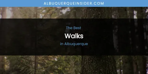 The Absolute Best Walks in Albuquerque